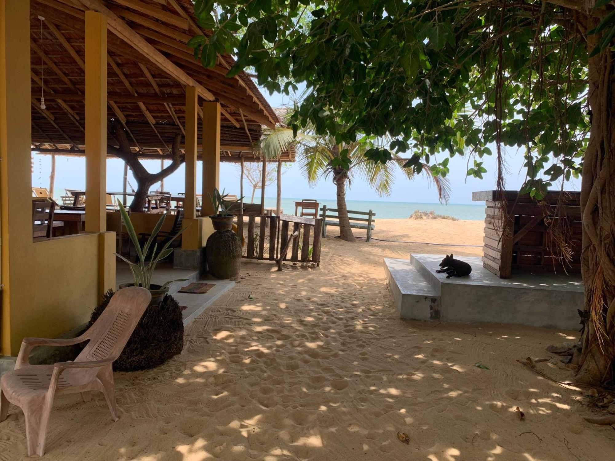 Ocean View Beach Resort - 칼피티야 외부 사진